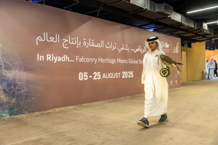 “هجرس” أصغر صقار يخطف الأنظار ويعزز الموروث في المزاد الدولي للصقور 2025