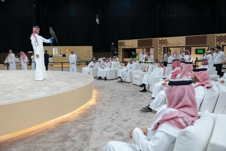 بيع 3 صقور في الليلة التاسعة لمنصة المزاد الدولي لمزارع الإنتاج