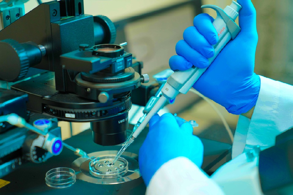 “التخصصي” في المدينة ينجح في إجراء زراعة رائدة للخلايا الجذعية