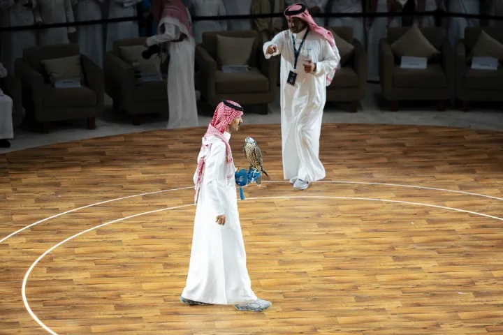 بيع شاهين فرخ ب 105 آلاف ريال في الليلة الثانية لمزاد نادي الصقور السعودي 2025