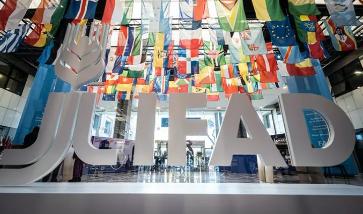 الصندوق الدولي للتنمية الزراعية يحذر من تزايد المخاطر التي تهدد سلاسل الإمداد الريفية